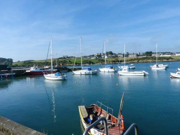 شقة The Clamshell Isle of Whithorn المظهر الخارجي الصورة
